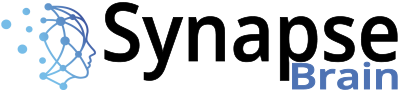 Synapse Brain